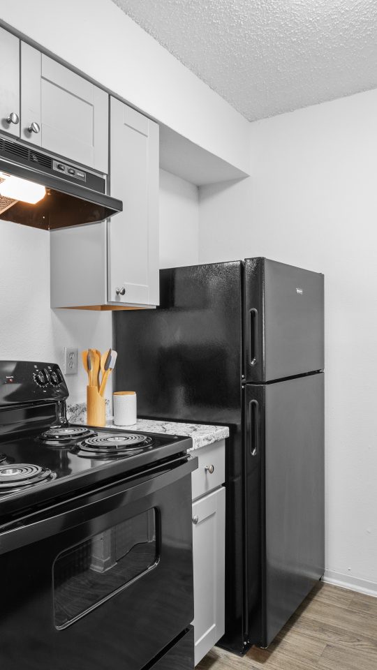 a black and white kitchen with a stove and oven at The Calypso Apartments