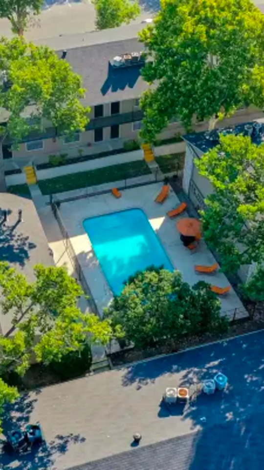 an aerial view of a pool and trees in a residential area at The Calypso Apartments